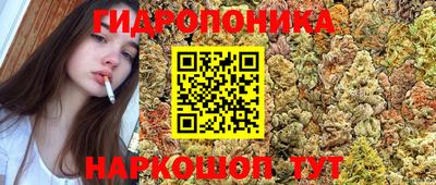 гашишное масло Кандалакша