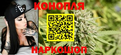 амф Камышлов