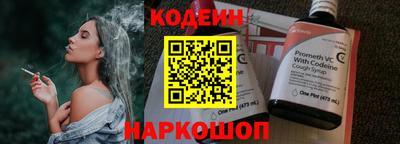 амф Камышлов