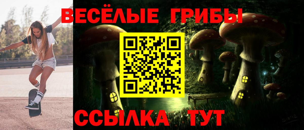 Галлюциногенные грибы GOLDEN TEACHER Красноуфимск